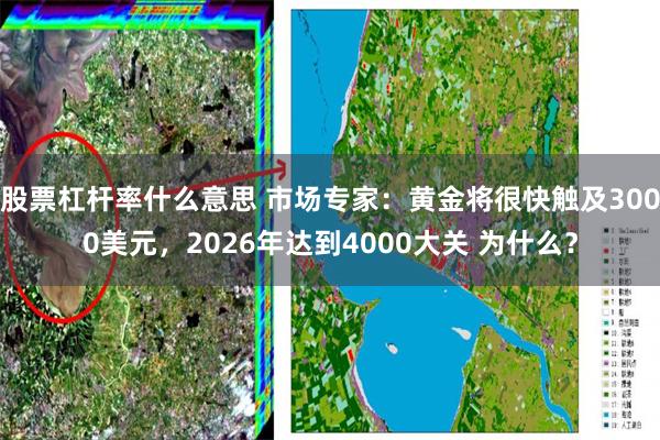 股票杠杆率什么意思 市场专家：黄金将很快触及3000美元，2026年达到4000大关 为什么？