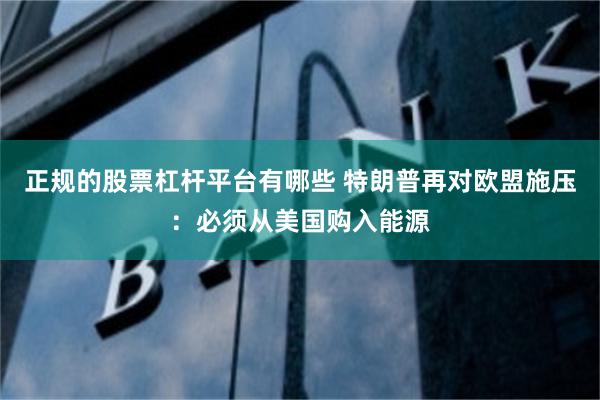 正规的股票杠杆平台有哪些 特朗普再对欧盟施压：必须从美国购入能源