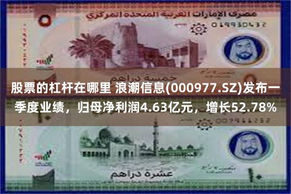 股票的杠杆在哪里 浪潮信息(000977.SZ)发布一季度业绩，归母净利润4.63亿元，增长52.78%