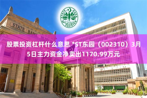 股票投资杠杆什么意思 *ST东园（002310）3月5日主力资金净卖出1170.99万元