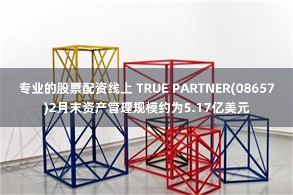 专业的股票配资线上 TRUE PARTNER(08657)2月末资产管理规模约为5.17亿美元