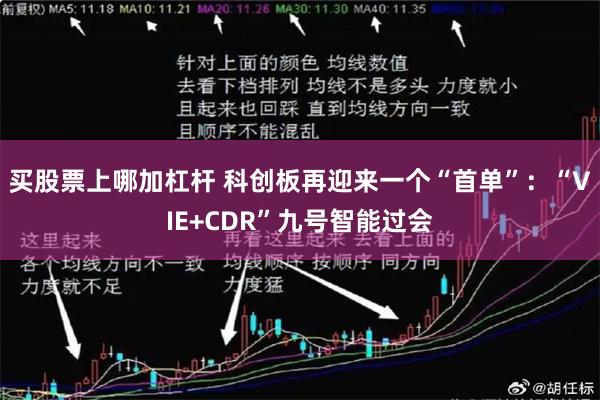 买股票上哪加杠杆 科创板再迎来一个“首单”：“VIE+CDR”九号智能过会