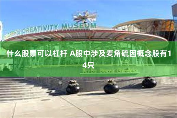 什么股票可以杠杆 A股中涉及麦角硫因概念股有14只