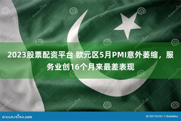 2023股票配资平台 欧元区5月PMI意外萎缩，服务业创16个月来最差表现