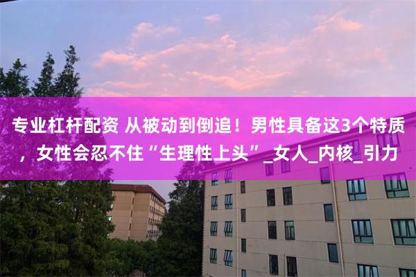 专业杠杆配资 从被动到倒追！男性具备这3个特质，女性会忍不住“生理性上头”_女人_内核_引力
