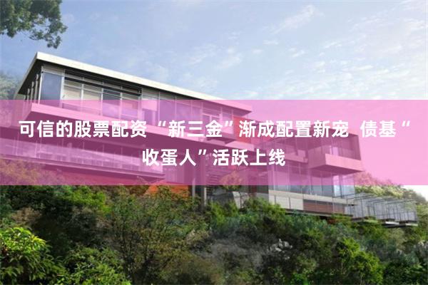 可信的股票配资 “新三金”渐成配置新宠  债基“收蛋人”活跃上线