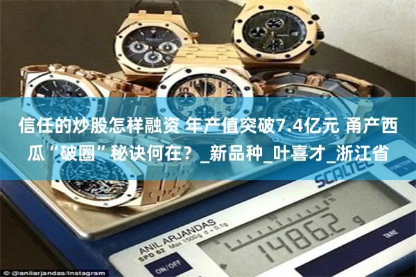 信任的炒股怎样融资 年产值突破7.4亿元 甬产西瓜“破圈”秘诀何在？_新品种_叶喜才_浙江省