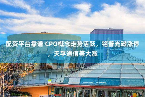 配资平台靠谱 CPO概念走势活跃，铭普光磁涨停，天孚通信等大涨