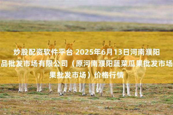炒股配资软件平台 2025年6月13日河南濮阳宏进农副产品批发市场有限公司（原河南濮阳蔬菜瓜果批发市场）价格行情