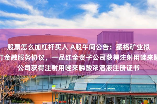 股票怎么加杠杆买入 A股午间公告：藏格矿业拟与紫金财务公司签订金融服务协议，一品红全资子公司获得注射用唑来膦酸浓溶液注册证书
