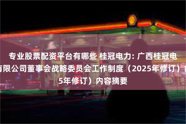 专业股票配资平台有哪些 桂冠电力: 广西桂冠电力股份有限公司董事会战略委员会工作制度（2025年修订）内容摘要