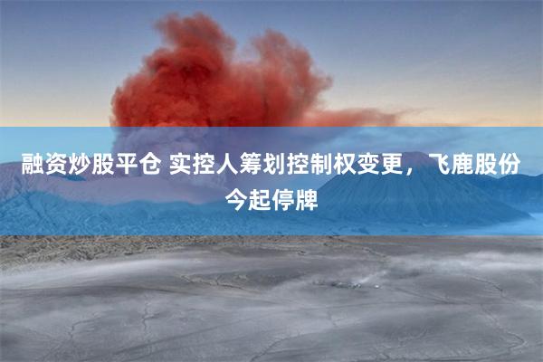 融资炒股平仓 实控人筹划控制权变更，飞鹿股份今起停牌