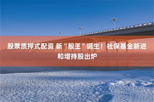 股票质押式配资 新“股王”诞生！社保基金新进和增持股出炉