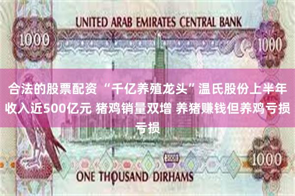 合法的股票配资 “千亿养殖龙头”温氏股份上半年收入近500亿元 猪鸡销量双增 养猪赚钱但养鸡亏损