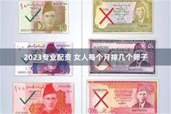 2023专业配资 女人每个月排几个卵子