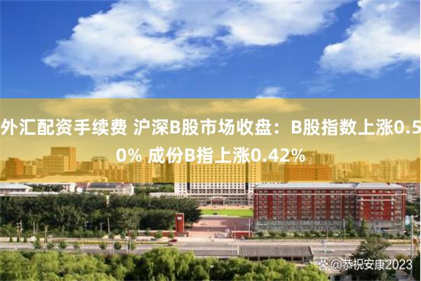外汇配资手续费 沪深B股市场收盘:B股指数上涨0.50% 成份B指上涨0.42%